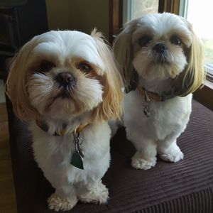 Meet your Posher, Kari